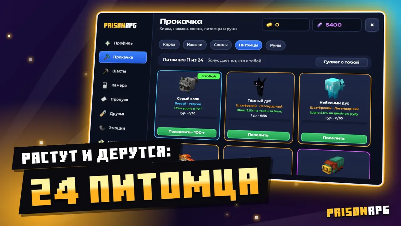 24 питомца
